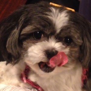 Meet your Posher, Grace